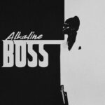 Alkaline-Boss-Hitzmakers.com_