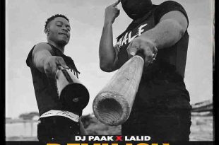 DJ Paak x Lalid – Devilish Ways
