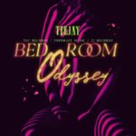 Teejay-Bedroom-Odyssey-Hitzmakers.com_