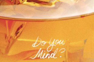 Adekunle Gold – Do You Mind