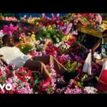 Adekunle-Gold-Party-No-Dey-Stop-ft.-Zinoleesky-Official-Video-Hitzmakers.com_