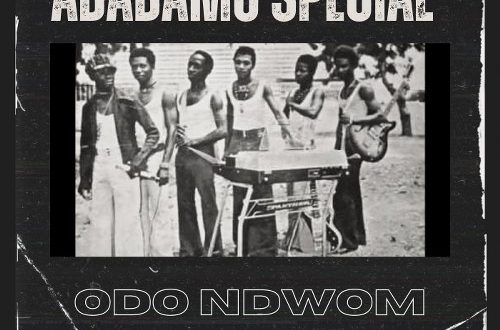 DJ Donzy - Adadamu Special (Odo Ndwom) Mixtape