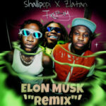 Shallipopi-Elon-Musk-Remix-ft.-Zlatan-×-Fireboy-DML-Hitzmakers.com_