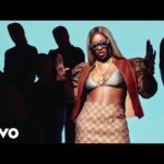 Tiwa-Savage-Pick-Up-Official-Video-Hitzmakers.com_