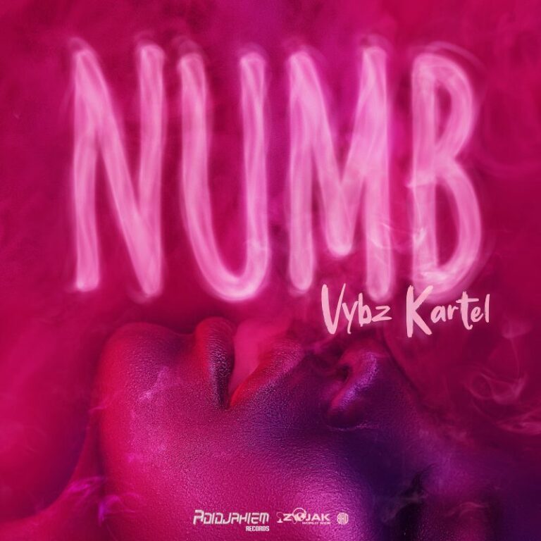 Vybz-Kartel-Numb-Album-Hitzmakers.com_