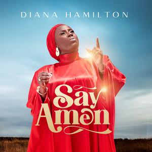 Diana-Hamilton-Say-Amen-Hitzmakers.com_