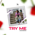 Akwaboah-Try-Me-Hitzmakers.com_