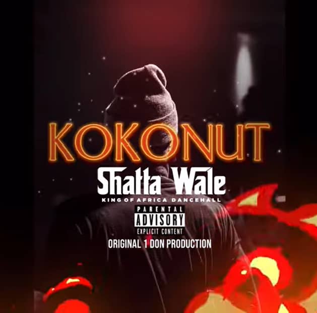 Shatta-Wale-Kokonut-Hitzmakers.com_