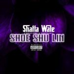 Shatta-Wale-Shoe-Shu-Lin-Ola-Michael-Diss-Hitzmakers.com_