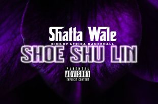 Shatta Wale - Shoe Shu Lin (Ola Michael Diss) (Prod by NawtyBoi)