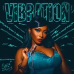 Sefa-Vibration-ft.-Meiway-Hitzmakers.com_