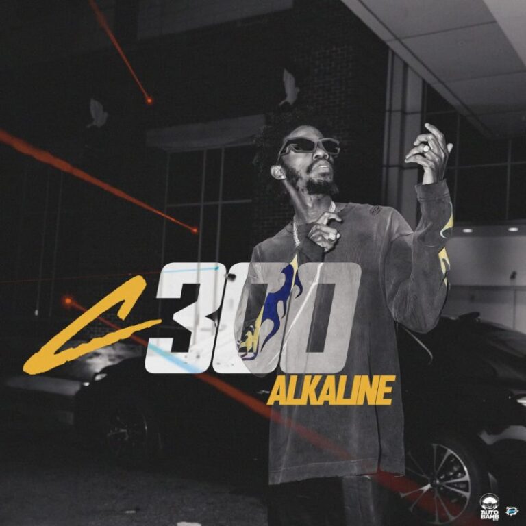 Alkaline-C300-Hitzmakers.com_