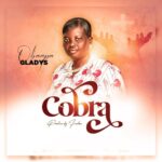 Obaapa-Gladys-Nipa-Ye-Cobra-Hitzmakers.com_