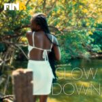 Fina-Gh-Slow-Down-Hitzmakers.com_