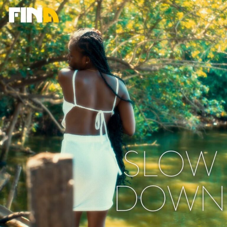 Fina-Gh-Slow-Down-Hitzmakers.com_