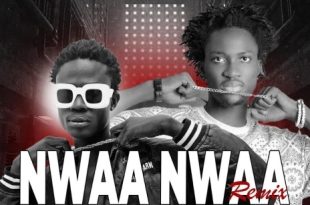 Junior Waaley - Nwaa Nwaa (Remix) Ft. Kwame Nut (Mixed by Deekay Beatz)