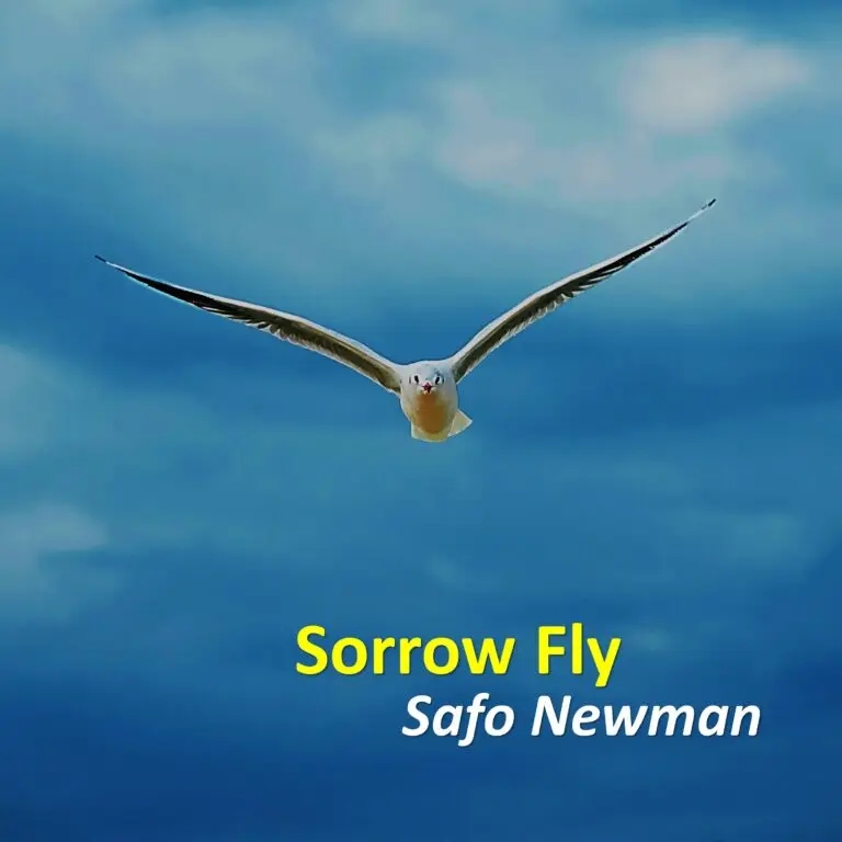 Safo-Newman-Sorrow-Fly-Hitzmakers.com_