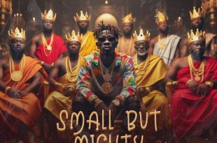 Shatta Wale – Small But Mighty (Prod. by Damaker)