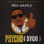 Criss-Waddle-Psycho-Syco-Hitzmakers.com_