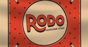 Adekunle Gold - Rodo