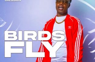 ofi Daeshaun - Birds Fly (Prod by Slim Beatz)