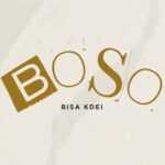 Bisa-Kdei-Boso-Hitzmakers.com_