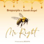 Brapurple-Mr-Right-ft.-Sarah-Angel-Hitzmakers.com_