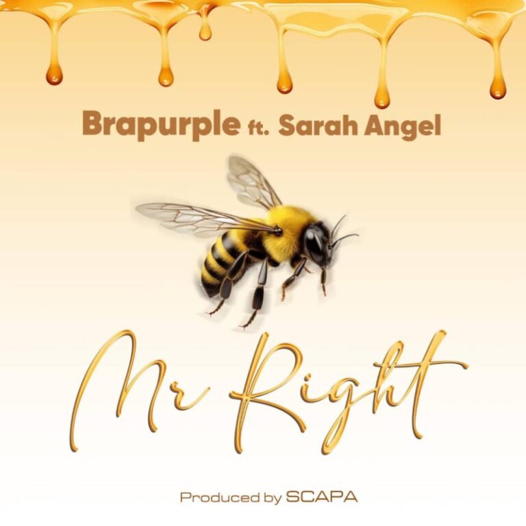 Brapurple-Mr-Right-ft.-Sarah-Angel-Hitzmakers.com_