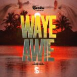 Kweku-Darlington-Waye-Awie-Hitzmakers.com_