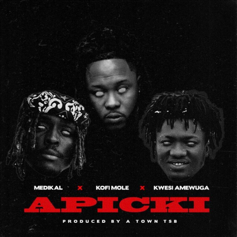 Medikal-Apicki-ft.-Kofi-Mole-x-Kwesi-Amewuga-Hitzmakers.com_