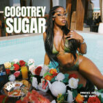 Cocotrey-Sugar-Hitzmakers.com_