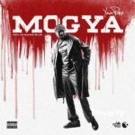 Yaa Pono – Mogya (Prod by Master Brainy)