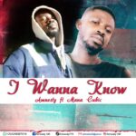 Amnesty – I Wanna Know Ft. Mana Cubic