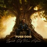 Fuse ODG - Steel And Stones Ft. Monique Lawz (Prod by Gigz Beatz)