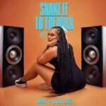 Moliy – Shake It To The Max (Fly) Ft. Silent Addy (Prod by Silent Addy & Disco Neil)