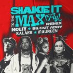 Moliy – Shake It To The Max (Fly) [Remix] Ft. Kalash, Maureen & Silent Addy (Prod by Silent Addy & Disco Neil)