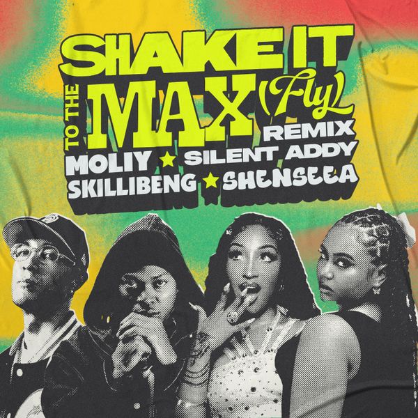 Moliy – Shake It To The Max (Fly) [Remix] Ft. Silent Addy, Skillibeng & Shenseea (Prod by Silent Addy & Disco Neil)