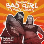 Stonebwoy – Bad Girl (Moliy Coco) (Shake It To The Max Freestyle) (Prod by Silent Addy & Disco Neil)