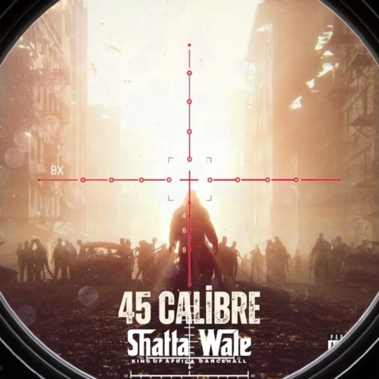 Shatta Wale – 45 Calibre (Prod by Damaker & Nawtyboi)