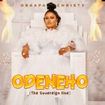 Obaapa Christy - Waye Yie Nwom Ni