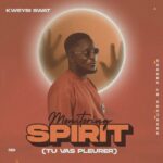 Kweysi Swat – Monitoring Spirit (Tu Vas Pleurer) (Prod by Fredoo)