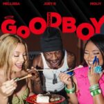 Mellissa - Goodboy (Kweku) Ft. Moliy, Joey B & Chopstix (Prod by Chopstix)