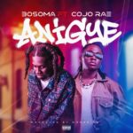 Bosoma – Anigye Ft. Cojo Rae (Prod by Medezion)